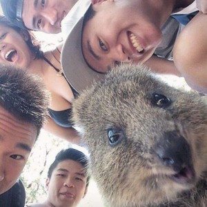 150309_quokka5large