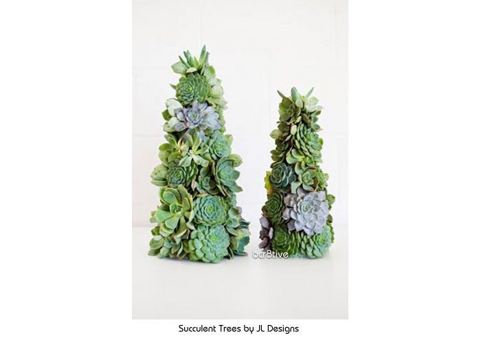 succulent-tree