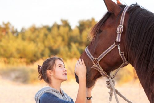 The Healing Power of Animals The Healing Power of Animals