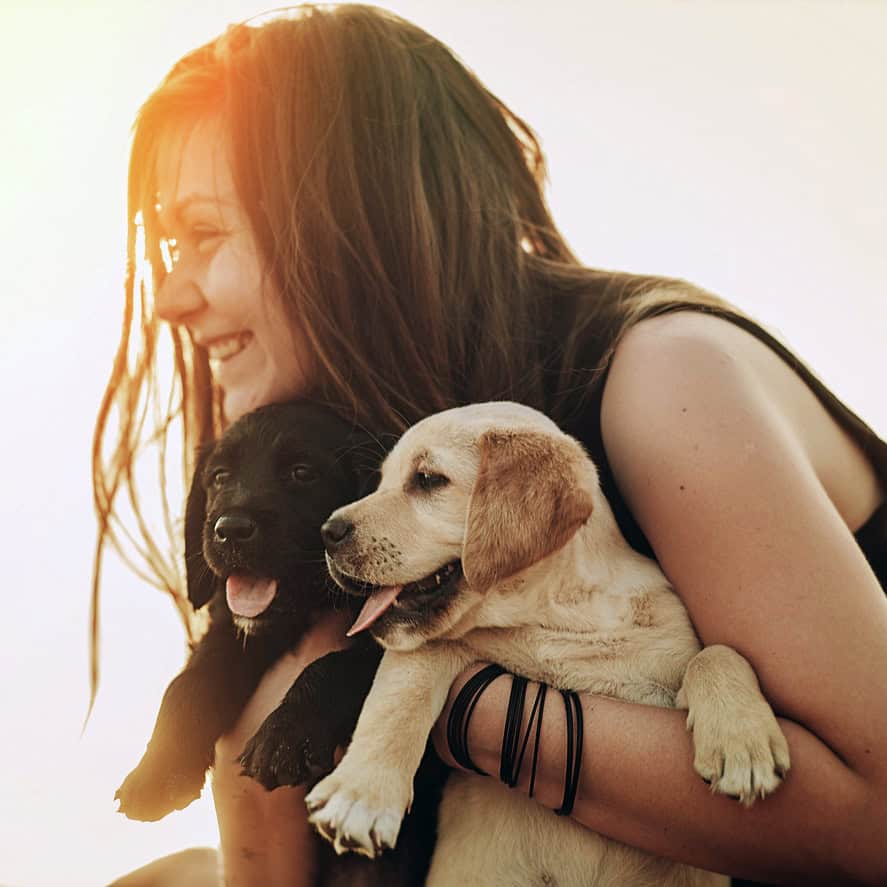 The Healing Power of Animals The Healing Power of Animals