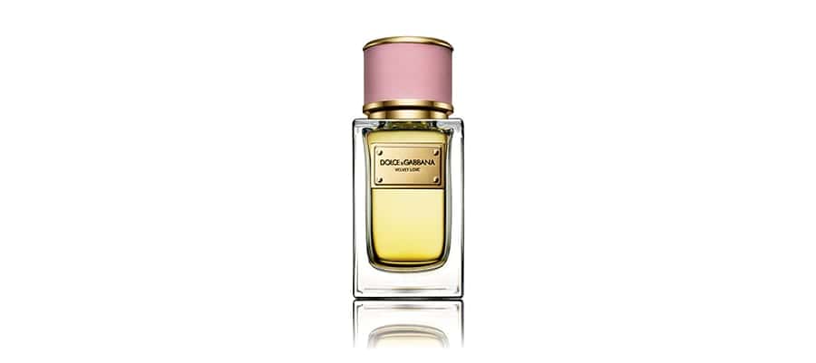 New dolce and gabbana perfume 2019 top