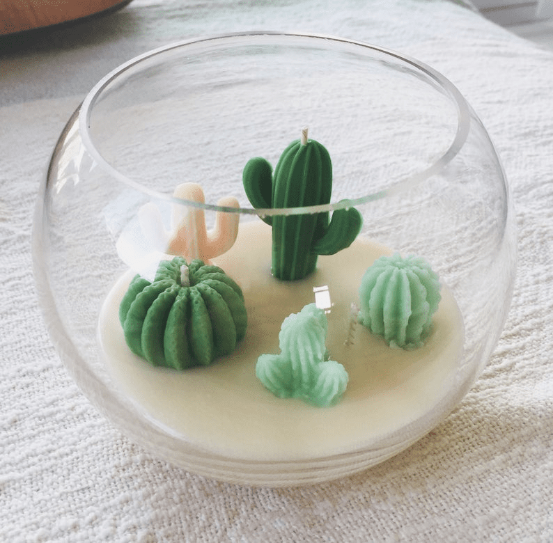 These Terrarium Candles Are Almost Too Pretty to Light