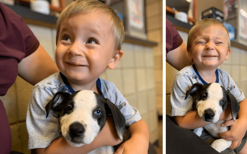 Cleft Lip Puppy Adopted by 2YearOld Boy with Cleft Lip