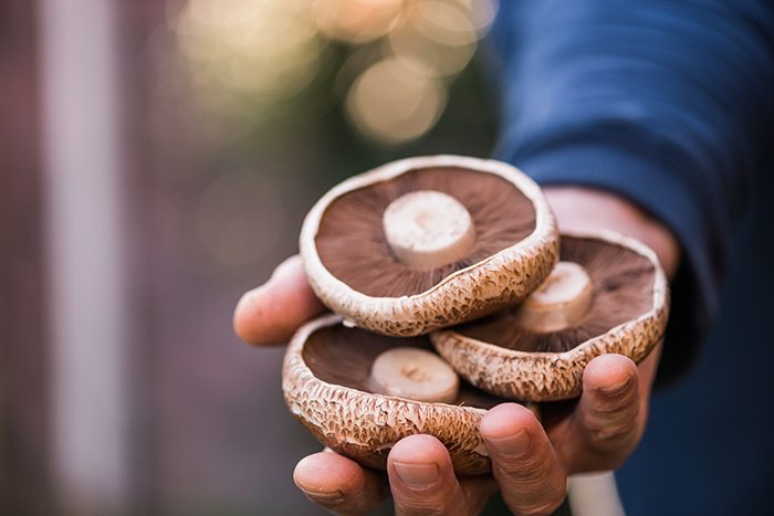 The many health benefits of mushrooms