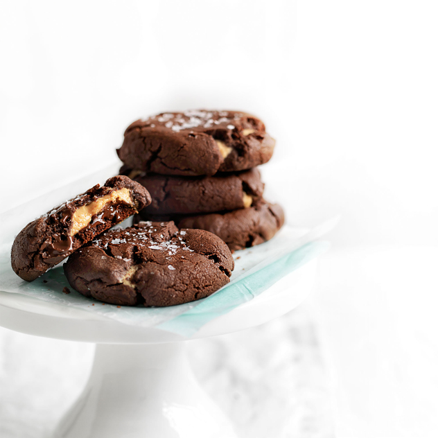 Double-Chocolate Peanut-Butter Biscuits