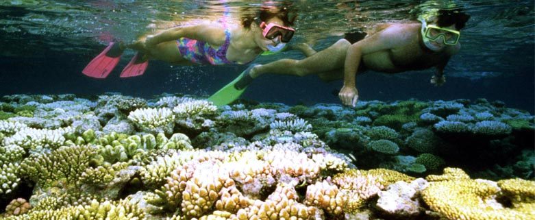 Great Barrier Reef Could Lose World Heritage Status