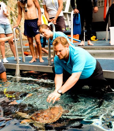 Kelly Tarlton’s SEA LIFE Aquarium Aids Sick Turtles Back to Health. Kelly Tarlton’s SEA LIFE Aquarium