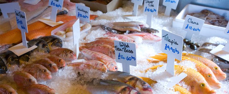 Sustainable Fishing: How to Be a Responsible Consumer