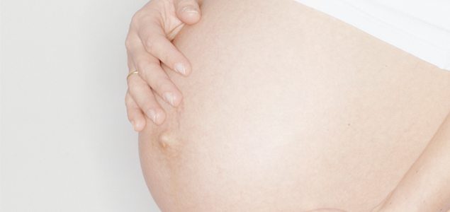 Liver Protein Crucial for Pregnancy