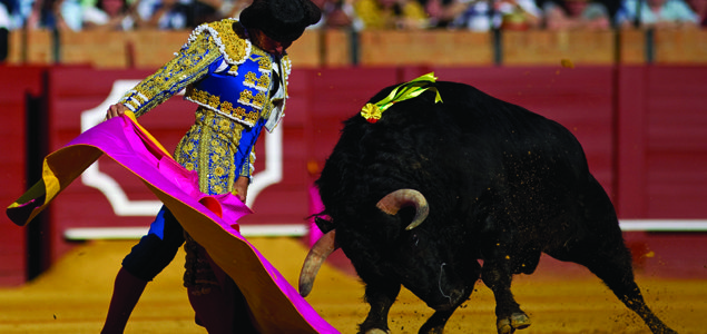 Bullfighting: Adios Matadors?