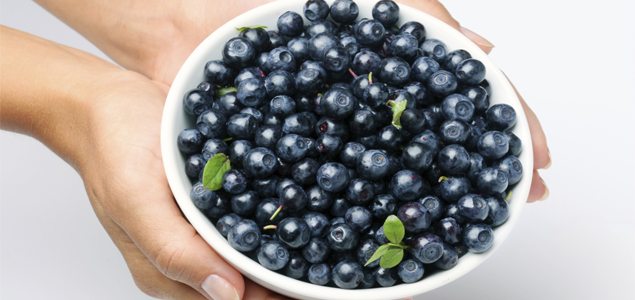 A bowl of blueberries a day keeps metabolic syndrome at bay