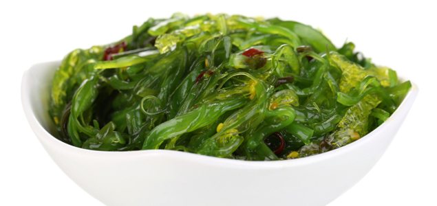 Seaweed extract helps prevent fat absorption
