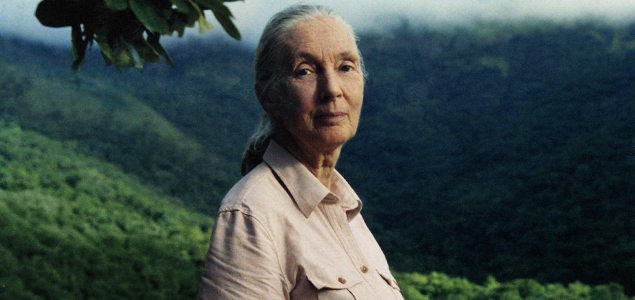 Dr Jane Goodall: Queen of the Jungle