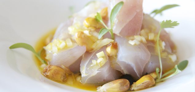 Snapper Ceviche