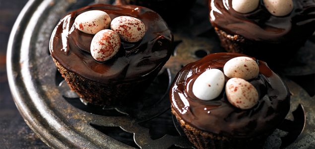 Chocolate Mud Cupcakes With Chocolate Sour Cream Ganache