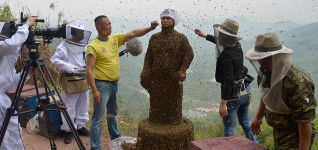 Chinese man covers himself in 460,000 bees