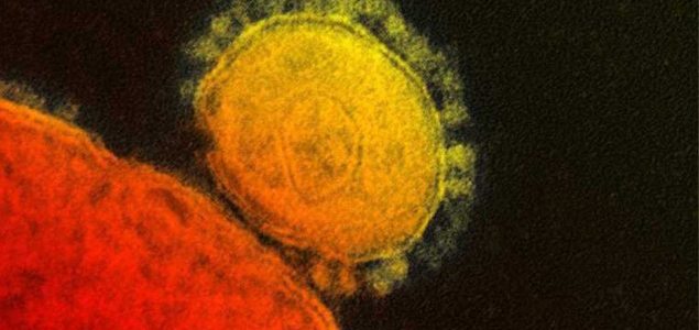 MERS Virus, what you need to know