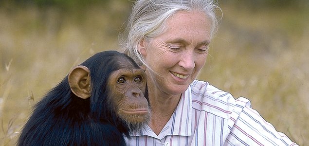Jungle Queen: Jane Goodall