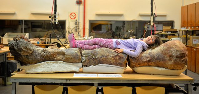 Jurassic giant fossil discovered in Argentina