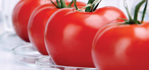 Why a tomato a day keeps the doctor at bay