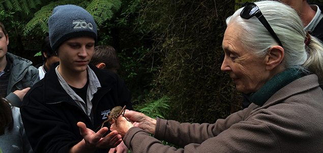Dr Jane Goodall and NZs largest insect