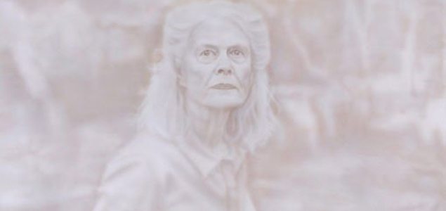 Fiona Lowry wins this year’s Archibald Prize for her portrait of Penelope Seidler