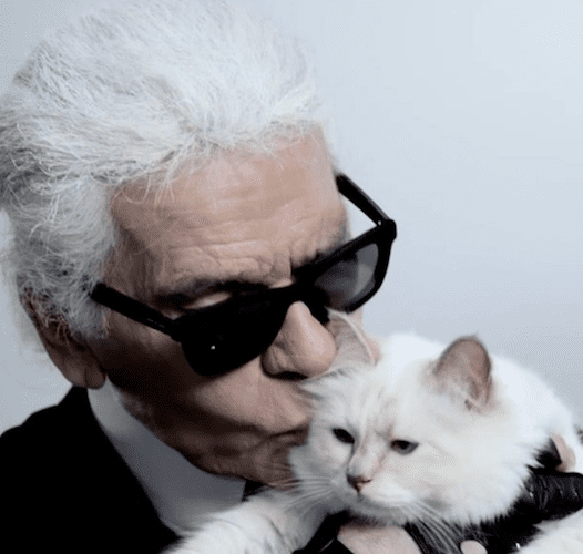 Karl Lagerfeld’s cat Choupette makes more money than all of us