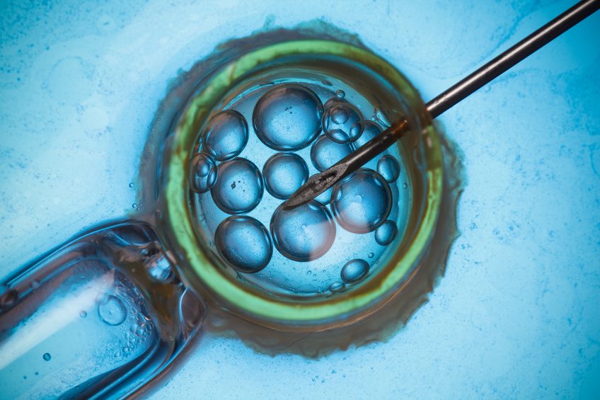 World’s first baby born with “three parent” IVF technique