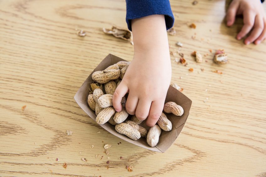Clinics to test for effects of early introduction to peanuts