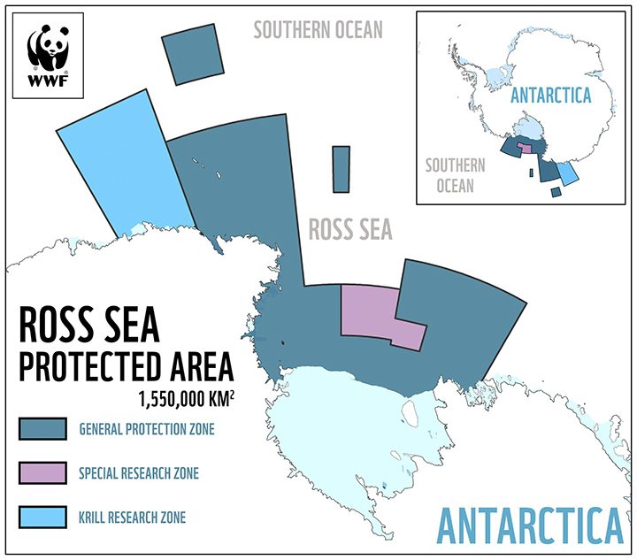 The one that didn’t get away: Antarctic marine park set to drive fishers out