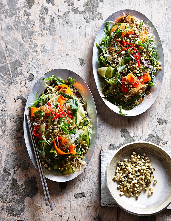 Vietnamese-style Mung Bean Sprout Salad
