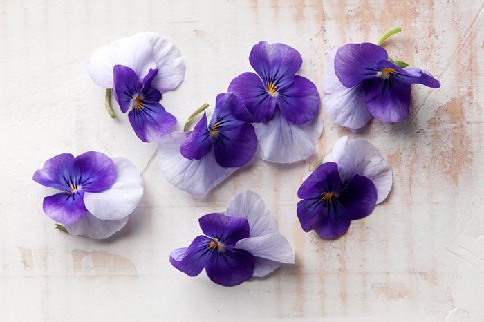 Eating and growing edible flowers