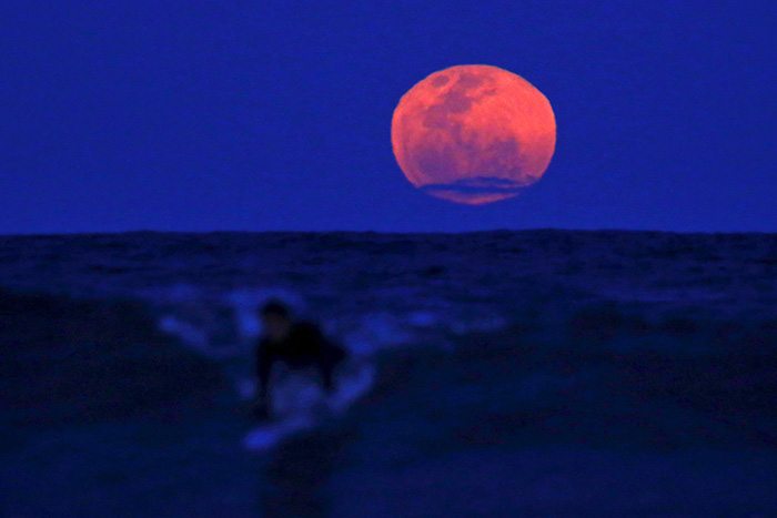Sydney, AustraliaA surfer catches a wave on his board as a super moon rises in the sky off Manly Beach in Sydney, Australia, September 28, 2015. The astronomical event occurs when the moon is closest to the Earth in its orbit, making it appear much larger and brighter than usual. REUTERS/David Gray
