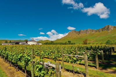 Insider’s Guide  to Hawke’s Bay
