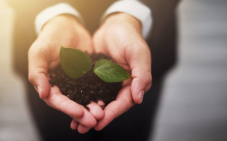4 simple sustainable promises you can make this year