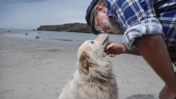 Oddball with her owner, Allan "Swampy" Marsh Photo: Robin Sharrock