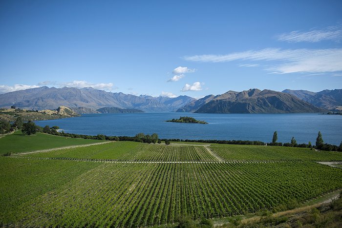 A Remarkable Journey: New Zealand Wineries By Sky