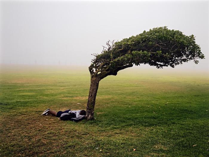 Pieter Hugo - Green Point Common Cape Town, 2013