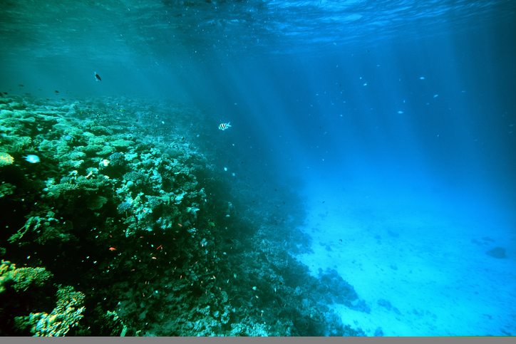 Climate Change Depleting Oceans’ Oxygen Levels