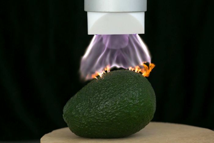 Mouldy avocados may be a thing of the past, using a Perth university's plasma machine