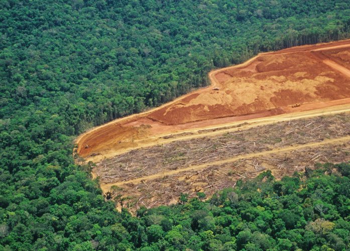 Drought and Deforestation Killing the Amazon