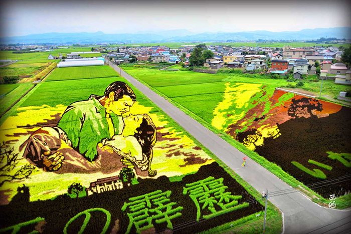 Gone with the harvest: a Japanese village's unique art is grown from thousands of rice plants