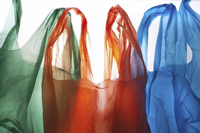 Plastic-bag eating caterpillars were identified after they munched through a scientist's trash