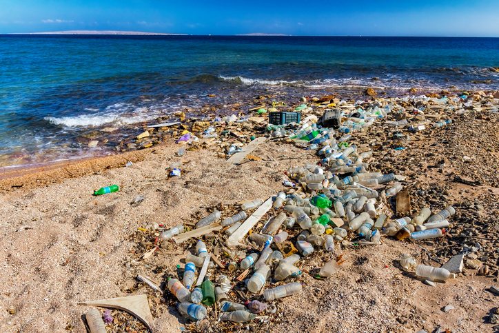 An Island of Plastic