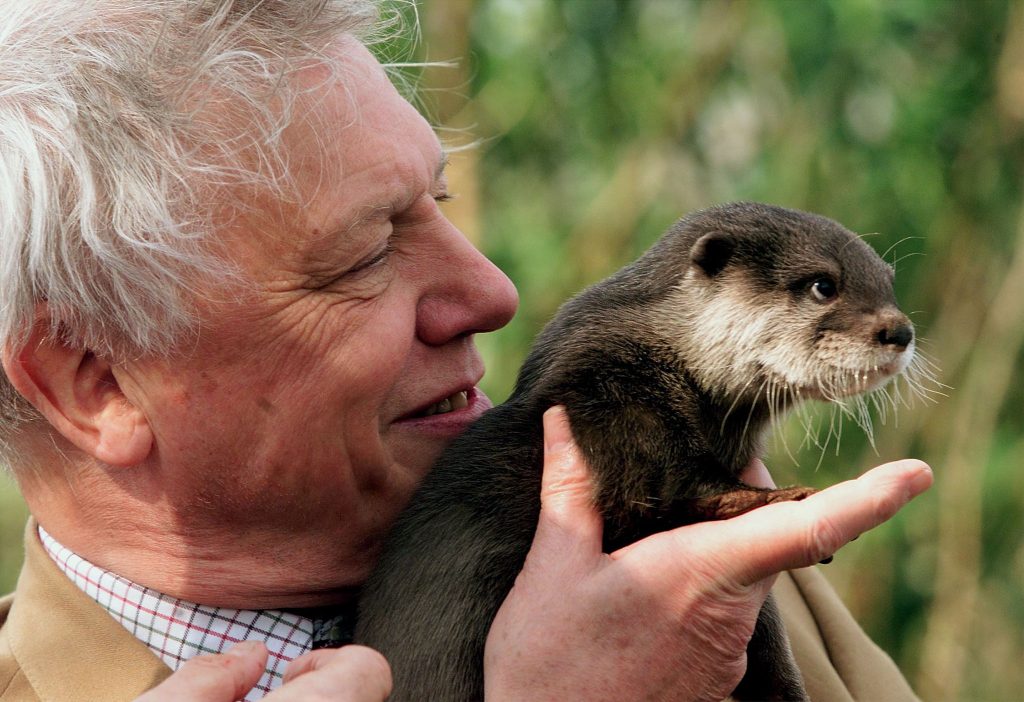 Happy Birthday Sir David Attenborough