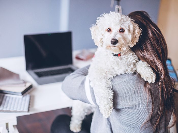 Why Allowing Dogs in the Office is a Good Idea