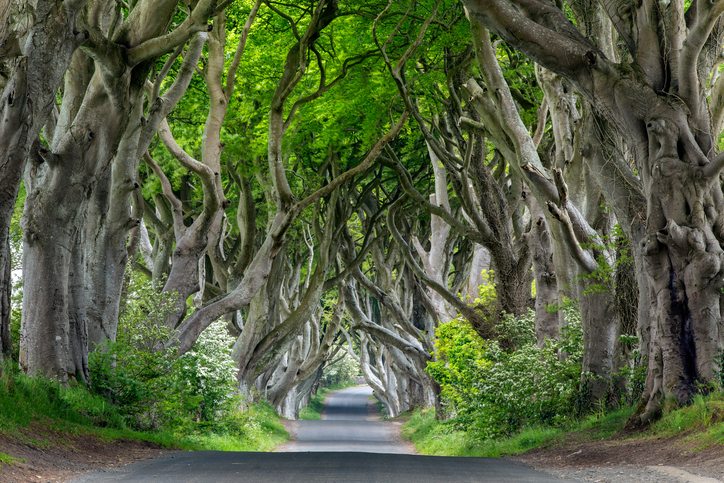 Travel to the Seven Kingdoms