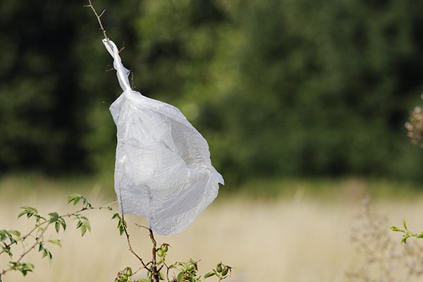 Kenya government bans plastic bags
