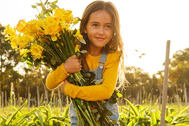 Buying a brighter future this Daffodil Day