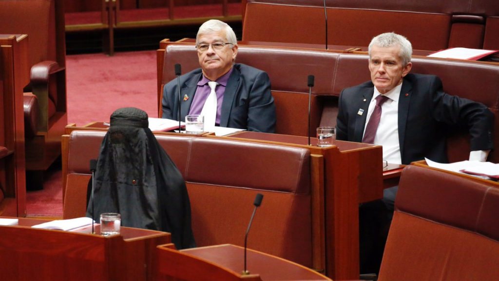 Pauline Hanson in the Senate today 
(Image - Twitter)